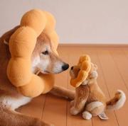 双手插兜的个人资料头像