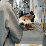 云边小卖部的个人资料头像