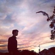 bluesqiang的个人资料头像