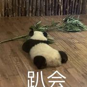 薄言的个人资料头像