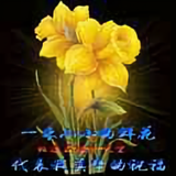 不负好时光485头像