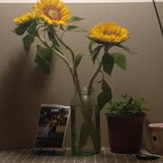 熊先生h的个人资料头像