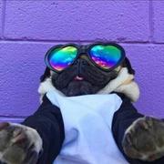 QueSera50的个人资料头像