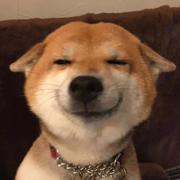 panda421的个人资料头像