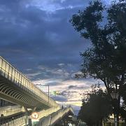 Roy_06的个人资料头像