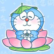 树洞rqbot的个人资料头像