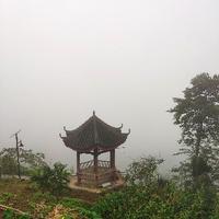 用户5314279936451头像