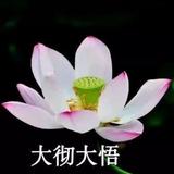 H₂SO₄541头像