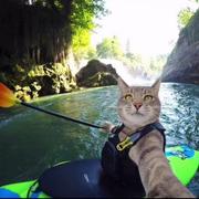 豆子662的个人资料头像