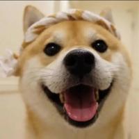 某某人49125头像
