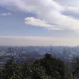 里斯本斔头像