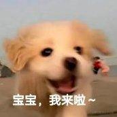 绝望鸭脖的个人资料头像