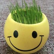 L_2025的个人资料头像