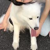 用户8814661425481头像
