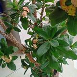 我在好想看头像