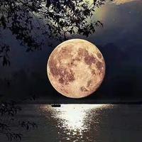 人生如戏6858796141359头像