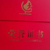 同化生命中的一切头像