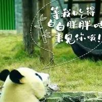 用户8915982775407头像