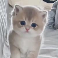 生命不息e头像
