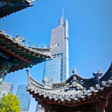 东哥老杨头像
