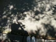 lxx_y的个人资料头像