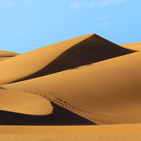 爱家黄桃8p4头像