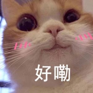 一岁小奶猫头像