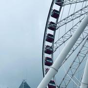 L_shaking的个人资料头像