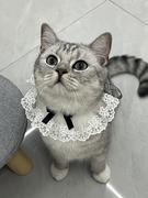 秃头小伙的个人资料头像