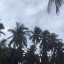 陈伟同学42237的个人资料头像