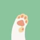 _root的个人资料头像