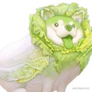 四一分推的个人资料头像