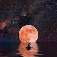 流浪歌手爱流浪头像
