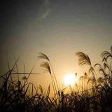 还年轻到处走走159头像