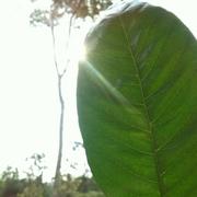 知北游540的个人资料头像