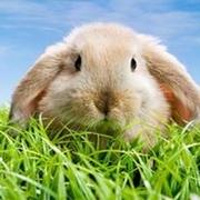 无明847的个人资料头像