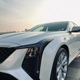 开新CT5的关小姐头像