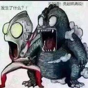 SSS级寒号鸟的个人资料头像