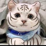 夏天3232993080703头像