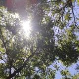 贺贺欣欣头像