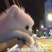 along的个人资料头像