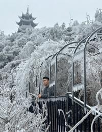 古道雷明头像