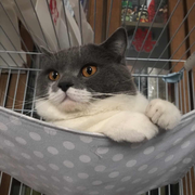 大馒头精的个人资料头像