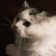 与卿776的个人资料头像