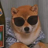 用户7030097913209头像