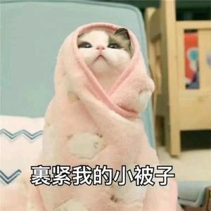 想吃肉肉的大猫头像