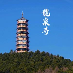 龙泉寺自渡头像