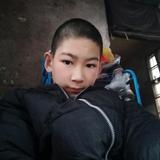 自在孔雀nqN头像