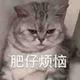 用户304138445183头像