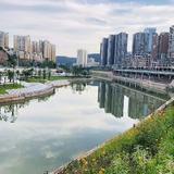单调的乏味2021头像